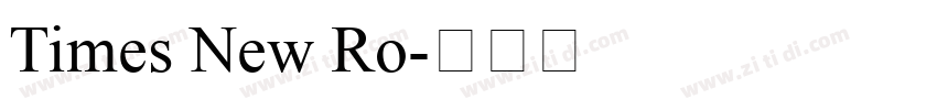 Times New Ro字体转换